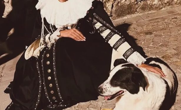 Intossicazione alimentare per il cane Mucca. Il sindaco di Sant’Arsenio: “Non diamogli dolci e salumi”