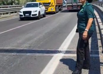 Camion in avaria tra Oliveto Citra e Contursi Terme: intervento della Guardia Agroforestale per mettere in sicurezza la strada
