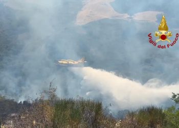 San Chirico Nuovo, incendio di macchia mediterranea a Creta Rossa: in azione vigili del fuoco e mezzi aerei