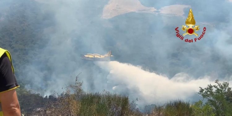 San Chirico Nuovo, incendio di macchia mediterranea a Creta Rossa: in azione vigili del fuoco e mezzi aerei