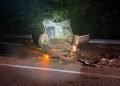 Auto si ribalta a Casalbuono, paura per due giovani