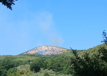 Incendio in montagna tra Polla e Petina: in azione anche un elicottero