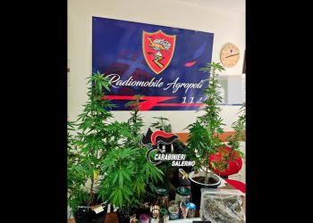 Trovato con la droga ad Agropoli: in manette un 23enne