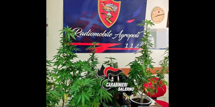 Trovato con la droga ad Agropoli: in manette un 23enne