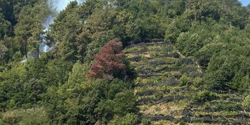 Incendi in Costiera Amalfitana, dopo il fuoco è allarme. I geologi avvertono sui pericoli con l’arrivo delle piogge autunnali