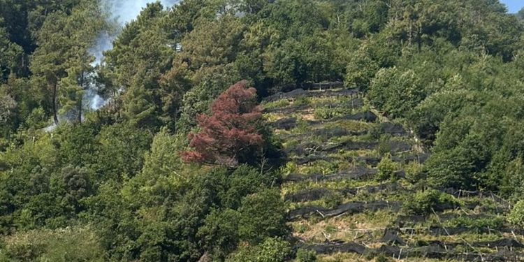 Incendi in Costiera Amalfitana, dopo il fuoco è allarme. I geologi avvertono sui pericoli con l’arrivo delle piogge autunnali