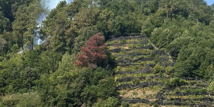 Emergenza incendi in Costiera Amalfitana: roghi tra Tramonti e Maiori. Maxi dispositivo di soccorso