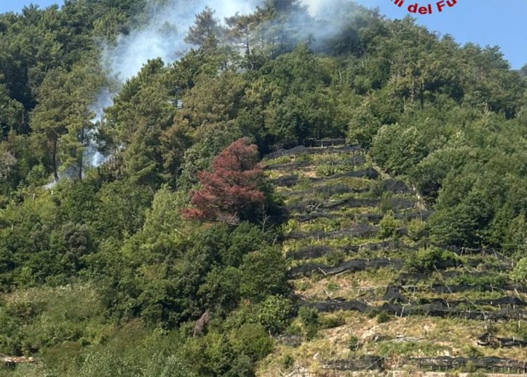 Emergenza incendi in Costiera Amalfitana: roghi tra Tramonti e Maiori. Maxi dispositivo di soccorso