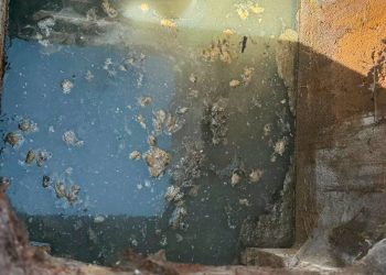 Sversamenti  illeciti di reflui a Capaccio: dopo pochi mesi scatta un nuovo sequestro per un’azienda zootecnica