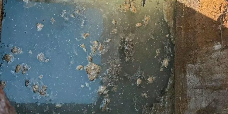 Sversamenti illeciti di reflui a Capaccio: dopo pochi mesi scatta un nuovo sequestro per un’azienda zootecnica