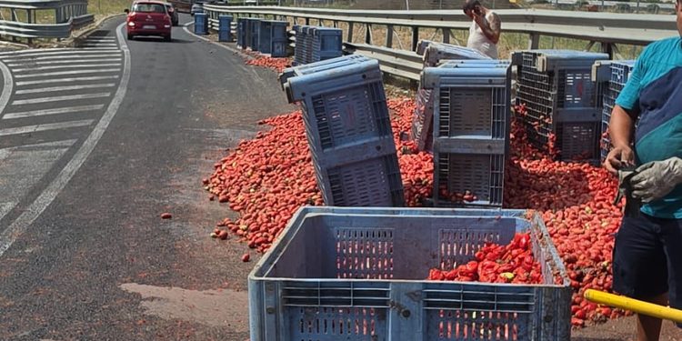 Camion perde il carico di pomodori sull’A2