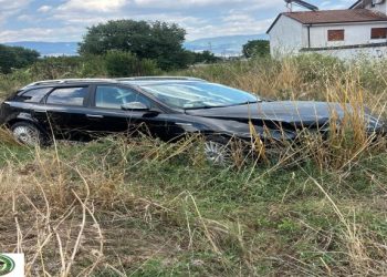 Segnalato un cane tenuto alla catena: esposto della Guardia Agroforestale Italiana alle autorità