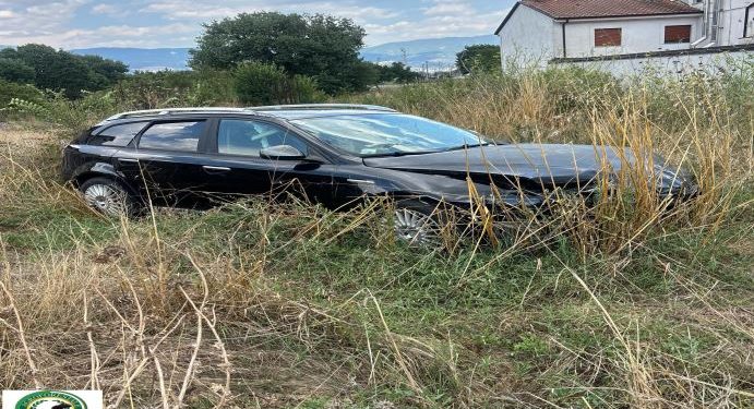 Segnalato un cane tenuto alla catena: esposto della Guardia Agroforestale Italiana alle autorità