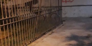 Simboli inneggianti alle Brigate Rosse a Salerno. Iannone: “Intollerabile”