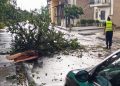 Pioggia, vento e e grandinate sul Vallo di Diano, albero cade sulla carreggiata a Pantano di Teggiano