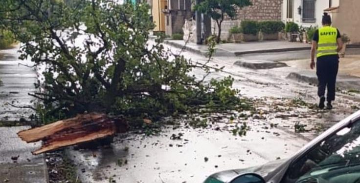 Pioggia, vento e e grandinate sul Vallo di Diano, albero cade sulla carreggiata a Pantano di Teggiano