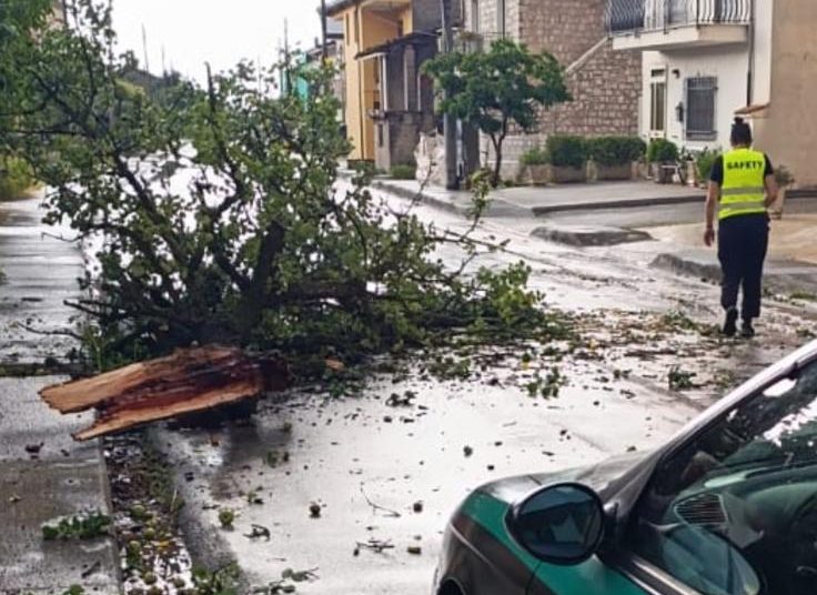Pioggia, vento e e grandinate sul Vallo di Diano, albero cade sulla carreggiata a Pantano di Teggiano