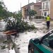 Pioggia, vento e e grandinate sul Vallo di Diano, albero cade sulla carreggiata a Pantano di Teggiano