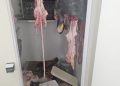 Maxi sequestro di carne e prodotti senza etichettatura in un negozio di Battipaglia