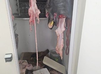 Maxi sequestro di carne e prodotti senza etichettatura in un negozio di Battipaglia