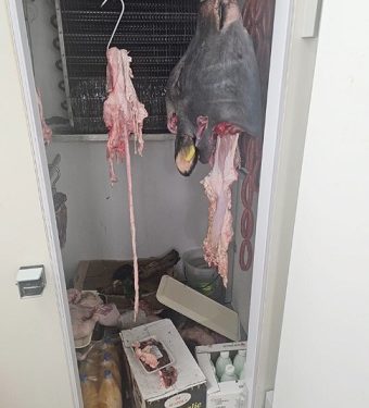 Maxi sequestro di carne e prodotti senza etichettatura in un negozio di Battipaglia