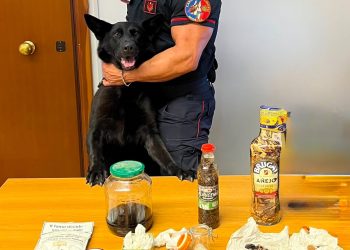 Droga sintetica “inconsueta” trovata durante i controlli a Potenza