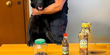 Droga sintetica “inconsueta” trovata durante i controlli a Potenza