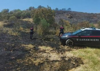 Vasto incendio a San Chirico. Denunciato 63enne: ha acceso il fuoco per bruciare un nido di vespe