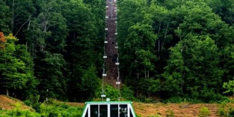 La Basilicata punta sullo sci sintetico, ma il prezzo è di 951 alberi da abbattere