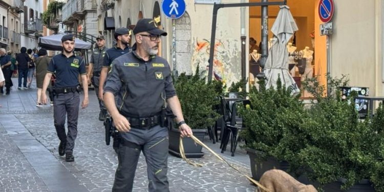 Controlli antidroga nel potentino: la Finanza sequestra hashish e marijuana