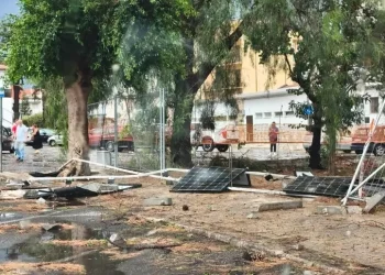 Tromba d’aria a Policoro: alberi divelti e danni per milioni di euro