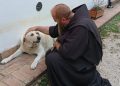 Padula. Al via la benedizione delle campagne: Fra Marco porta il rito di San Francesco tra campi, stalle e animali