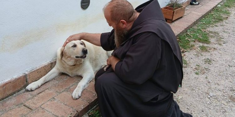 Padula. Al via la benedizione delle campagne: Fra Marco porta il rito di San Francesco tra campi, stalle e animali