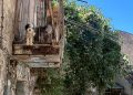 Controlli sulla tutela degli animali a Sala Consilina: le segnalazioni della Guardia Agroforestale Italiana