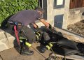 Gattino “sotterrato” durante i lavori edili, salvato a Polla