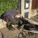 Gattino “sotterrato” durante i lavori edili, salvato a Polla