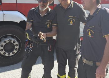 Gattino finisce nella discesa pluviale di una casa a Sala Consilina: salvato