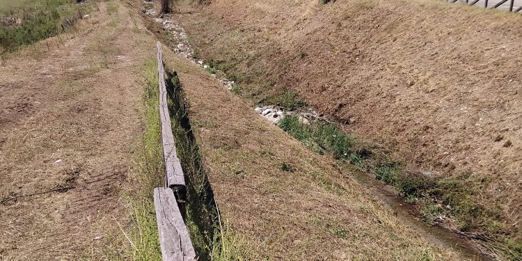 Manutenzione sul Torrente Fabbricato a Padula. Il Consorzio di Bonifica al lavoro