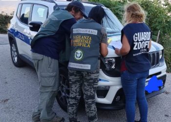 Rifiuti, pesca di frodo e reati ambientali: controlli serrati di  Accademia Kronos