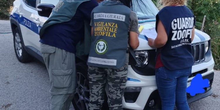 Rifiuti, pesca di frodo e reati ambientali: controlli serrati di  Accademia Kronos