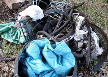 Discariche abusive tra San Gregorio Magno e Palomonte. La denuncia della Guardia agroforestale