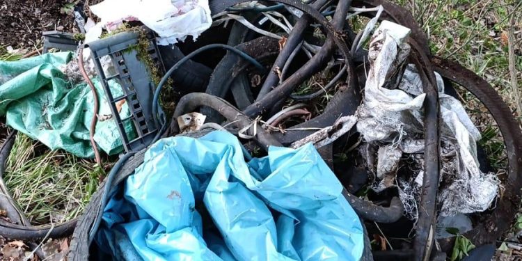 Discariche abusive tra San Gregorio Magno e Palomonte. La denuncia della Guardia agroforestale