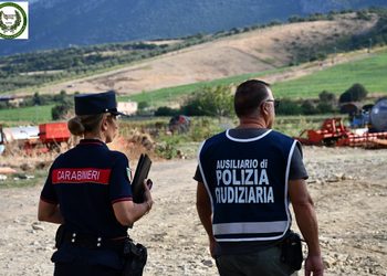 Capaccio, controlli in un allevamento bufalino: scatta il sequestro