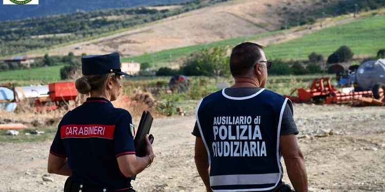 Capaccio, controlli in un allevamento bufalino: scatta il sequestro