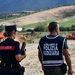 Capaccio, controlli in un allevamento bufalino: scatta il sequestro