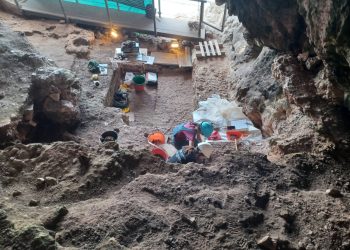 Riprendono domani gli scavi archeologici di Marina di Camerota