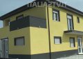 Randagismo nel Vallo di Diano, 8 anni dopo l’ambulatorio ASL resta solo un progetto