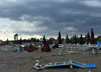 Tromba d’aria a Policoro: alberi divelti e danni per milioni di euro