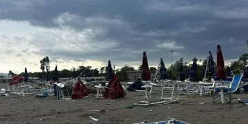 Tromba d’aria a Policoro: alberi divelti e danni per milioni di euro