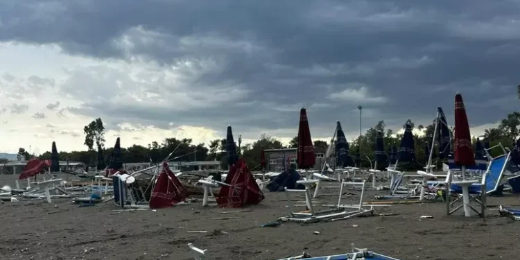 Tromba d’aria a Policoro: alberi divelti e danni per milioni di euro